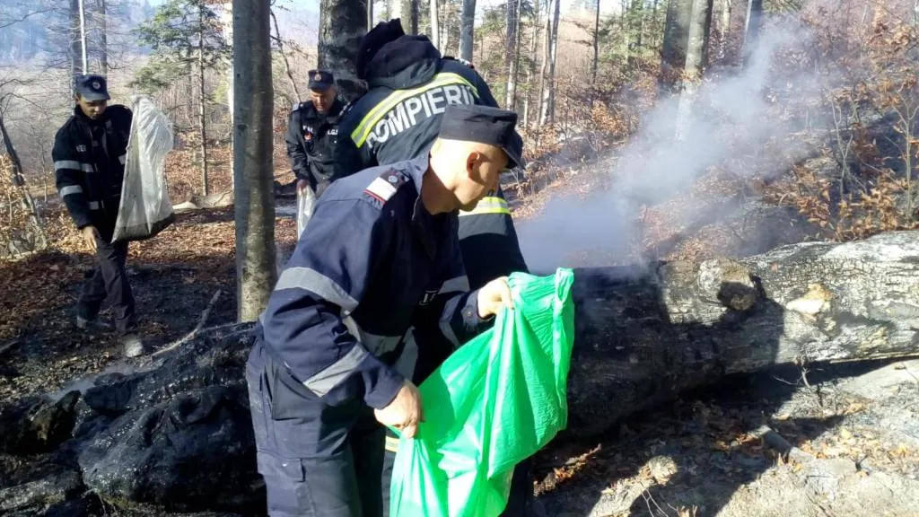 86 de oameni s-au luptat să stingă incendiul de pădure