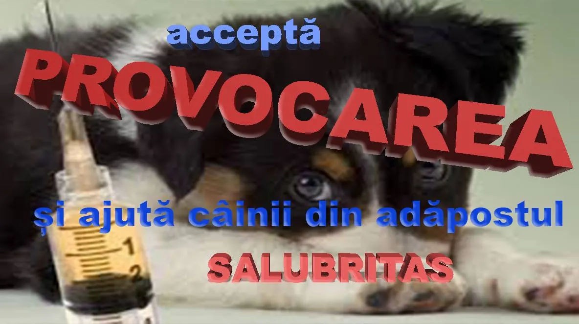 Provocarea inedită lansată de Cristi Sauciuc pentru a achiziționa doze de vaccin polivalent