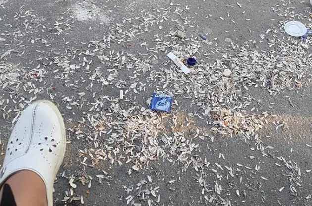 ”Spărgătorii de semințe”, ”sparți” cu amenzile, la Roman