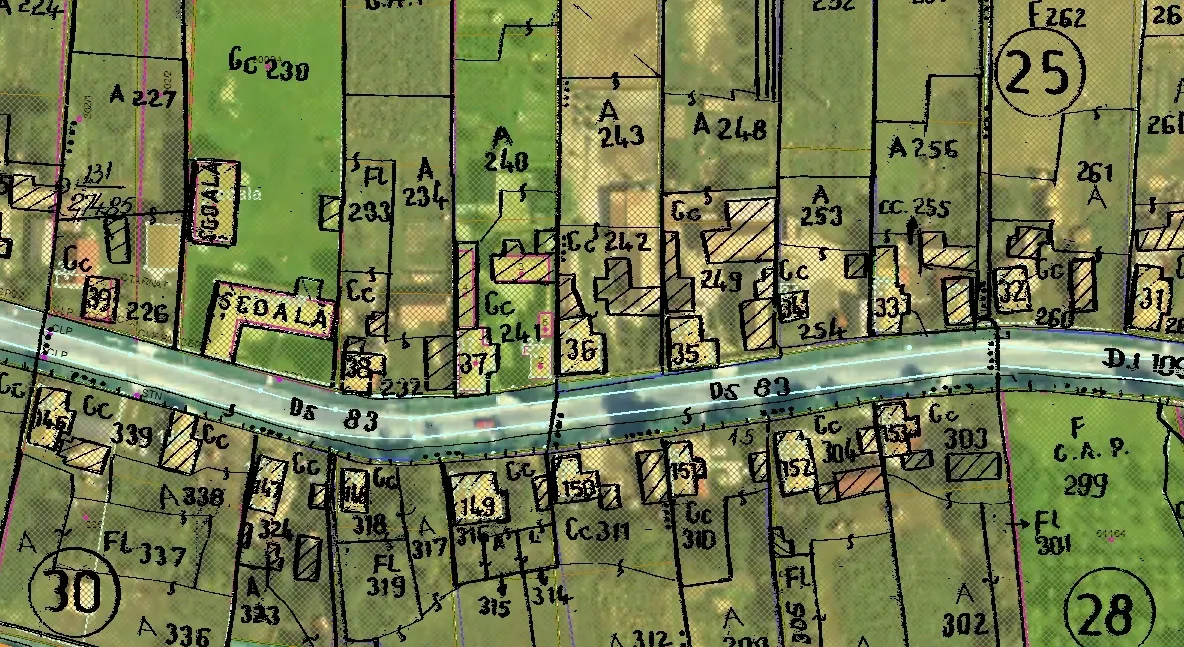 Licitaţie pentru înregistrarea imobilelor în sistemul de cadastru şi carte funciară pentru 5 comune din Neamț