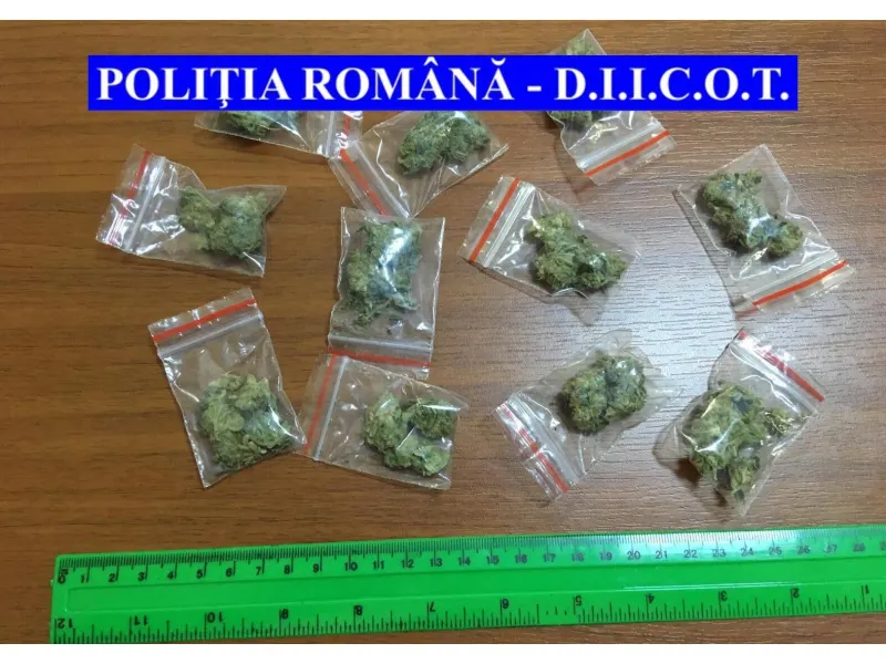 Flagrant și percheziții în Neamț. Tineri, reținuți pentru trafic de droguri (FOTO)