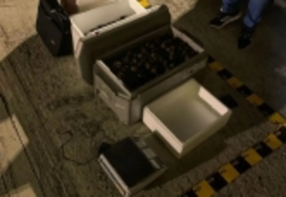 Trufe în valoare de aproximativ 91.000 de lei, depistate în mașina unui tânăr din Alba