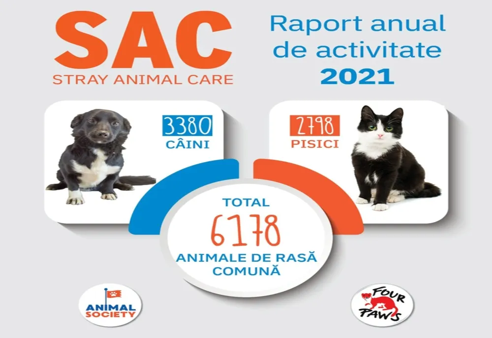 2021 – Un an plin de provocări, se încheie cu rezultate bune