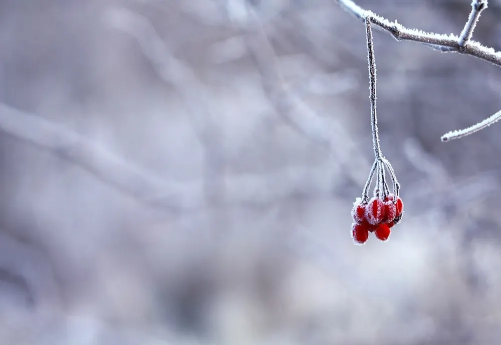 Vremea 4 februarie - Cer variabil cu înnorări temporare