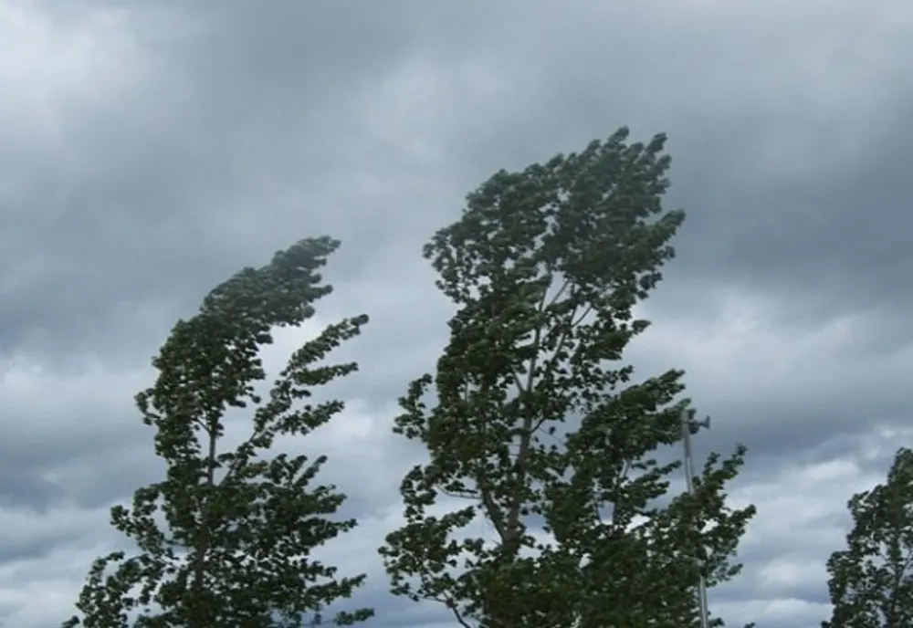 Meteorologii au emis un Cod Galben de vânt în 8 judeţe 