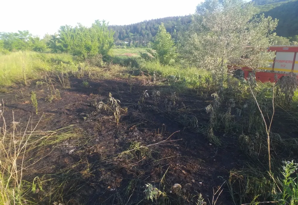 O țigară aruncată la întâmplare a aprins vegatația uscată 