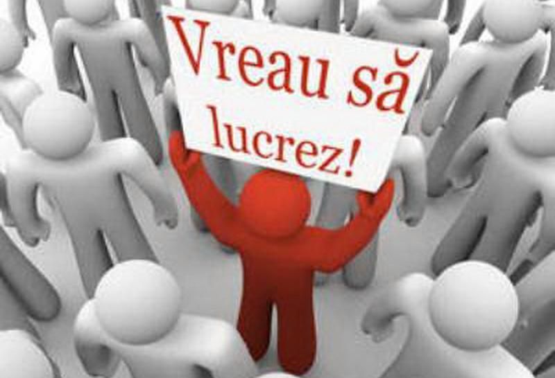 200 de noi locuri de muncă în Neamț