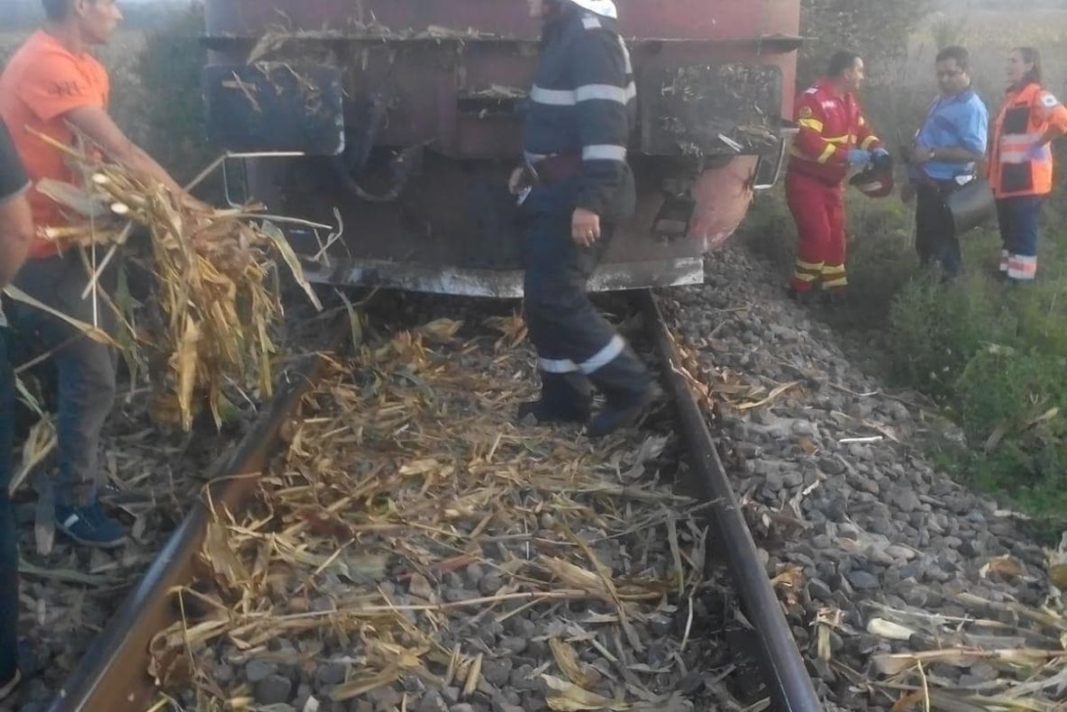 Mamă și fiu, la spital după ce au căzut din tren