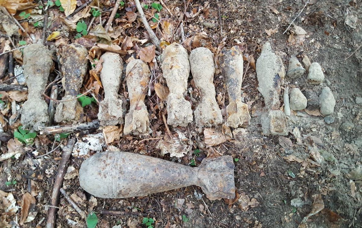 A plecat să caute ciuperci și a găsit bombe