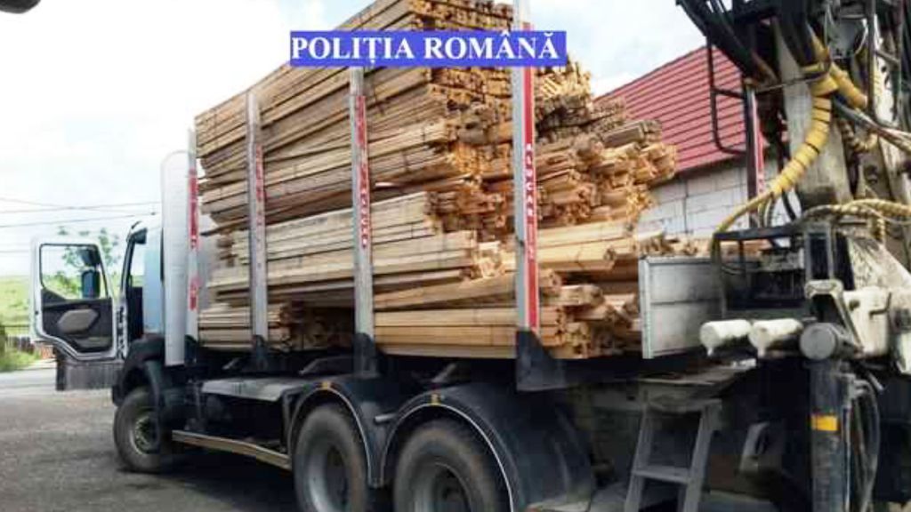 Amendă de 10.000 lei şi 12 m.c. lemn confiscat de la un bărbat din Dămuc