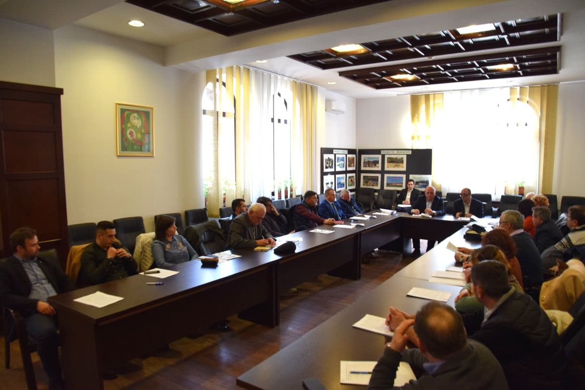 Întâlnirea reprezentanților primăriilor pentru constituirea Zonei Metropolitane Piatra-Neamț