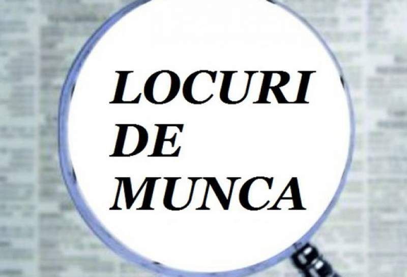 Locuri de muncă vacante NOI. Vezi lista publicată de AJOFM Neamț