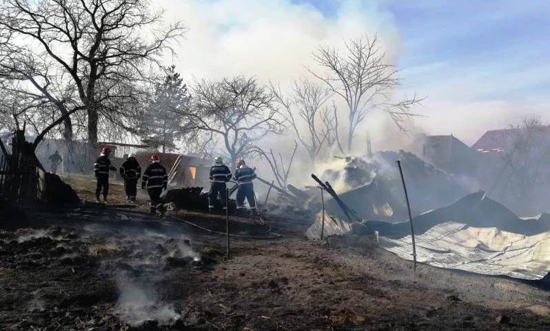 Incendiu la un adăpost de animale (FOTO)