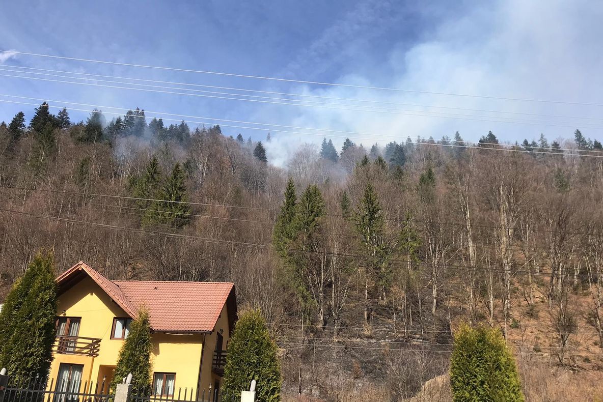 Bărbatul care a provocat incendiul de la Izvorul Muntelui, amendat de pompieri (FOTO)