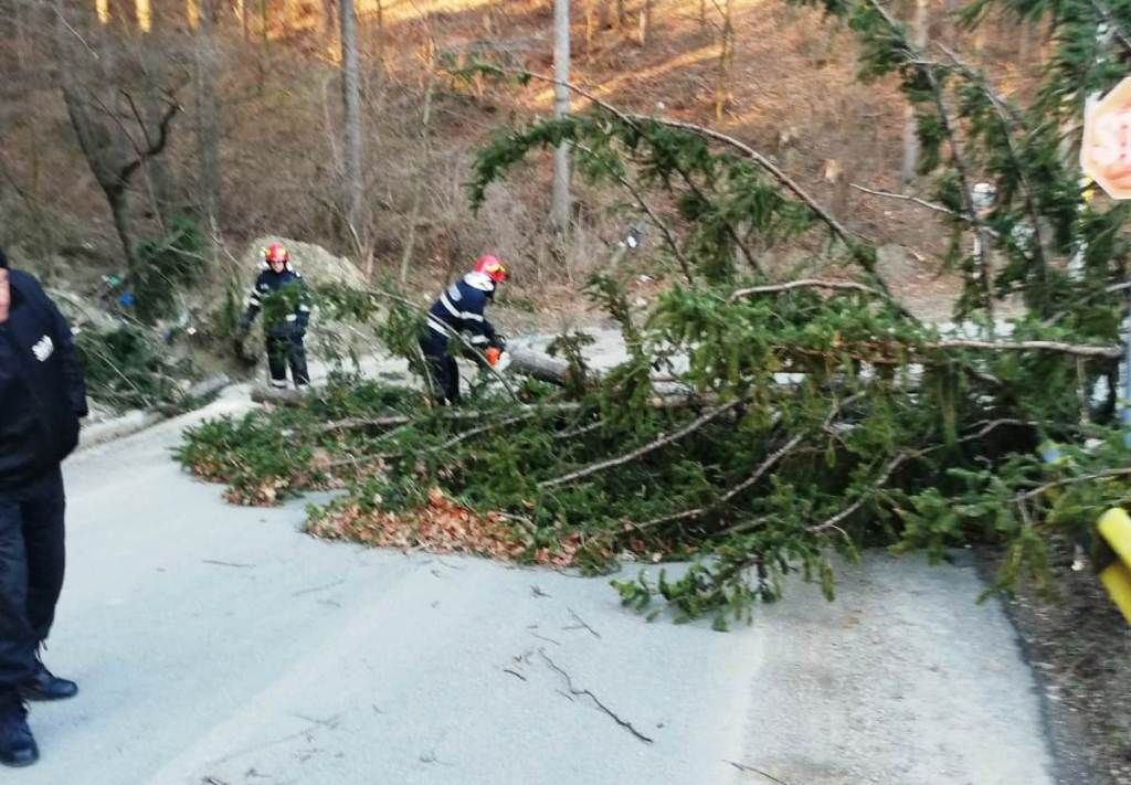 Copaci căzuți pe carosabil, case rămase fără curent electric