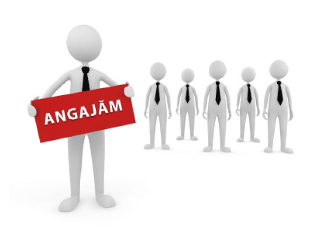 Aproximativ 1 000 de locuri de muncă vacante, publicate de AJOFM