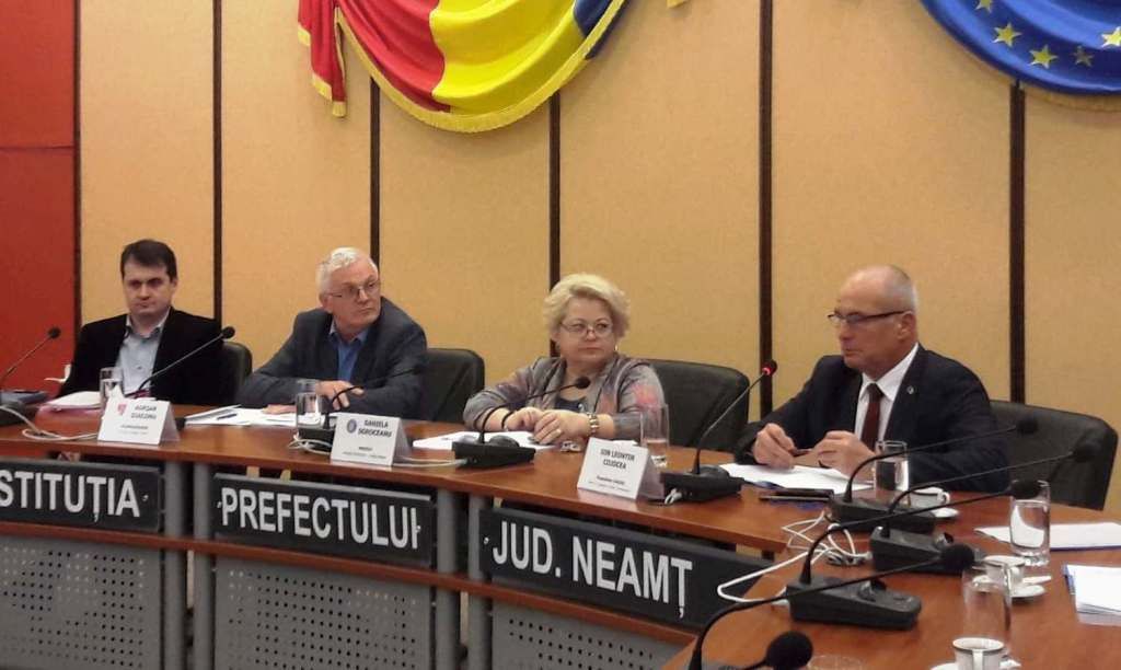 Soluții pentru românii din diaspora la Comisia pentru Incluziune Socială Neamț