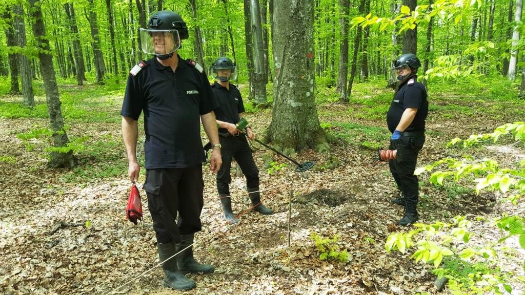 Arsenal de muniție neexplodată, găsit într-o pădure din Neamț (FOTO)