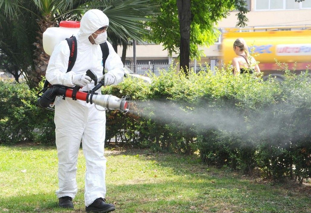Din 23 iulie, începe dezinsecția în Piatra-Neamț
