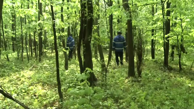 Femeie rătăcită în pădure, găsită de forțele de intervenție