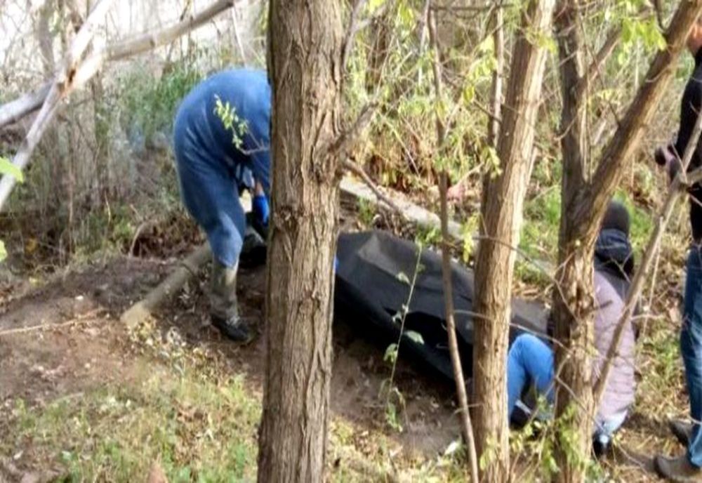 Descoperire macabră pe dealul Cernegura din Piatra-Neamț