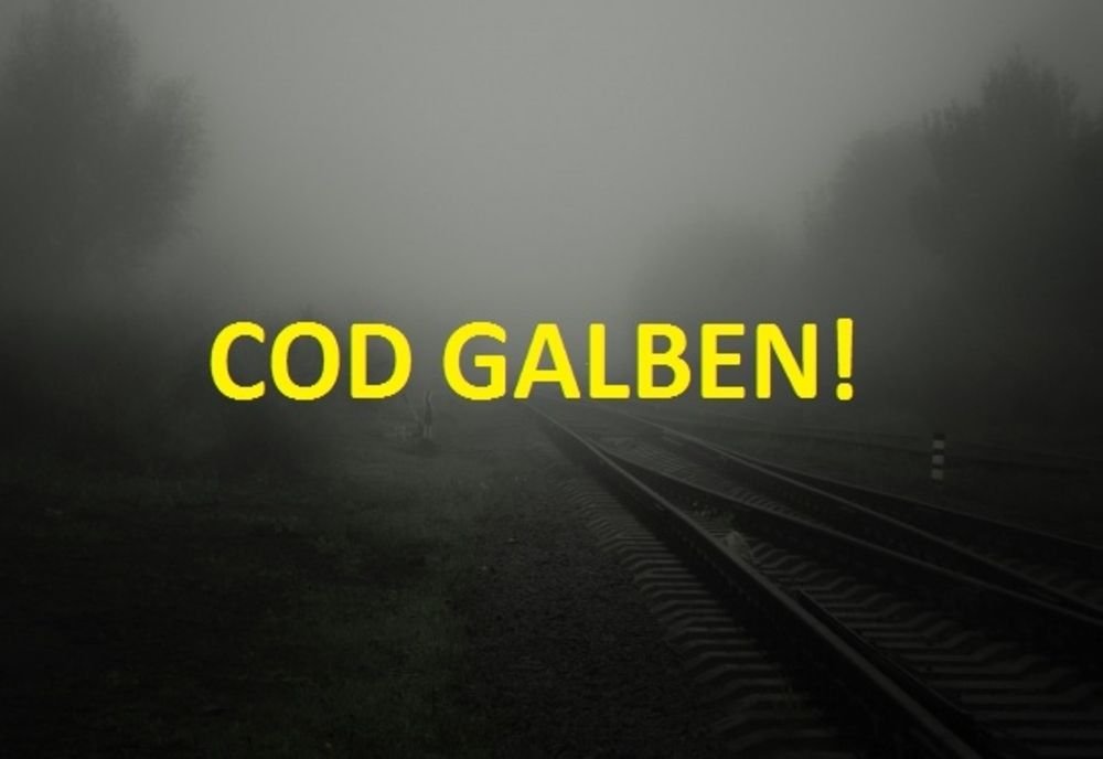 COD GALBEN de CEAȚĂ în județele Moldovei