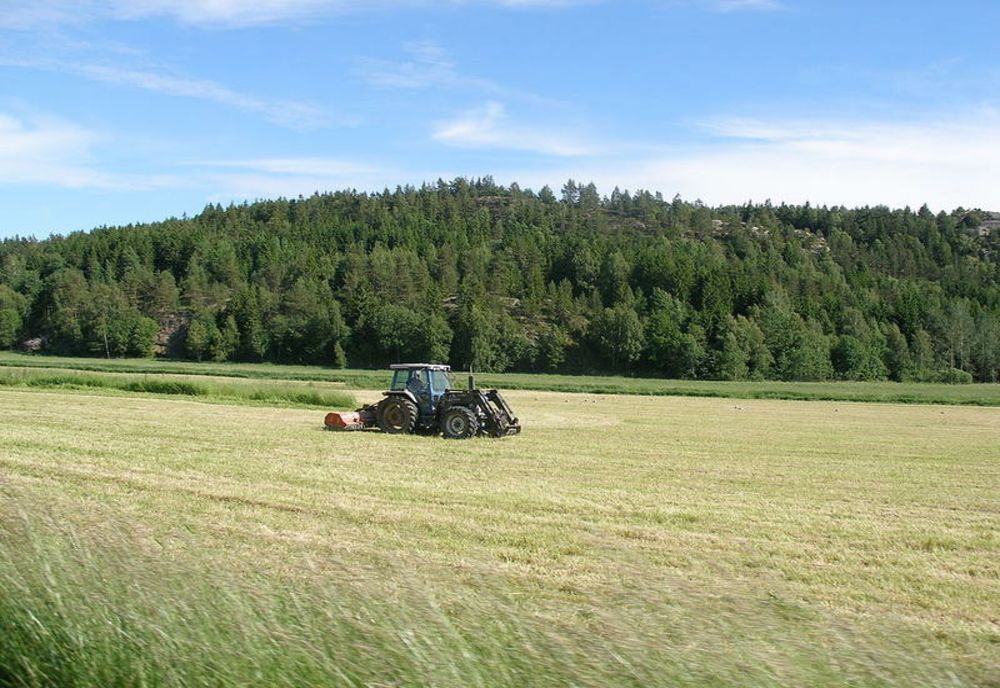 Recensământul General Agricol în România, 10 mai – 31 iulie 2021
