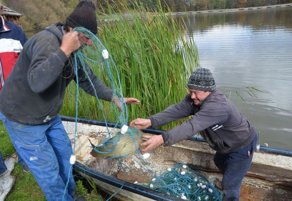 28 de amenzi pentru pescari 