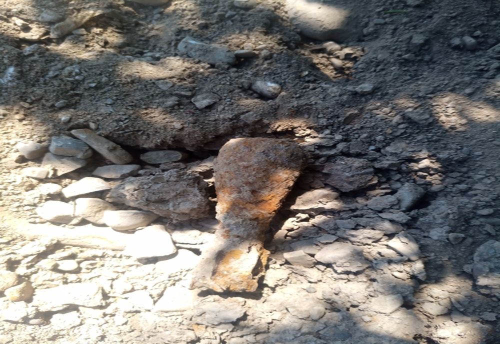 Bombă în Vânători Neamț