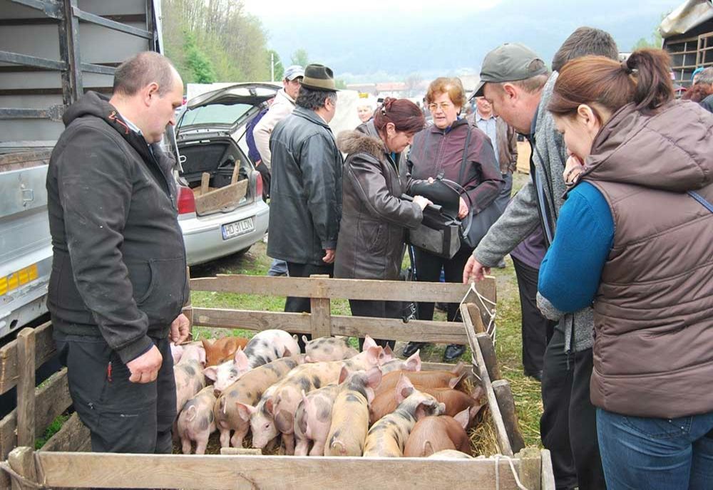 Amenzi de peste 6.000 de lei aplicate de polițiști în târgurile de animale