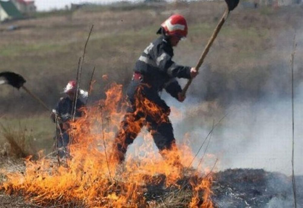 Mai multe hectare de vegetație uscată făcute scrum de un incendiu