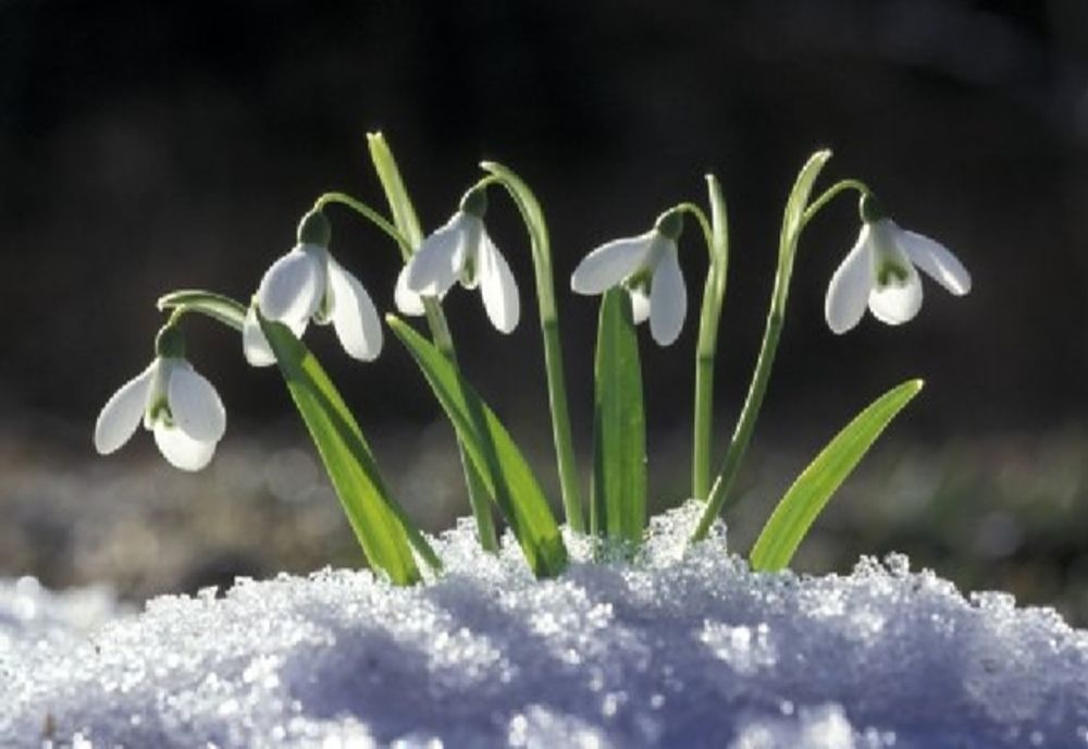 Vremea 10 februarie - Temperaturi de primăvară care ajung chiar și până la 15 grade