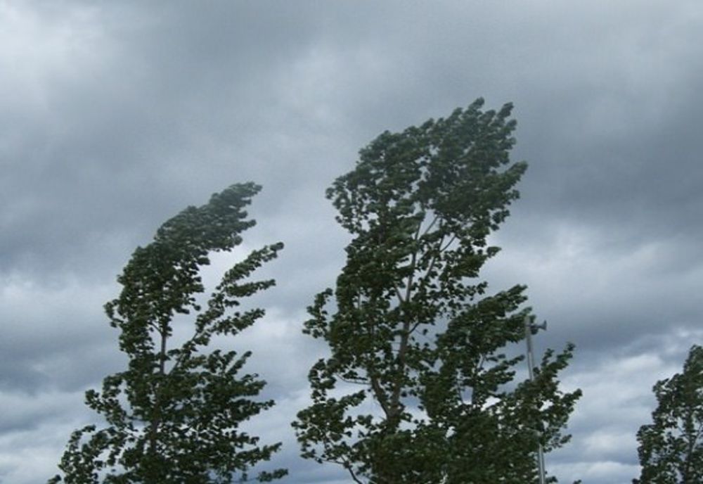 Meteorologii au emis un Cod Galben de vânt în 8 judeţe 
