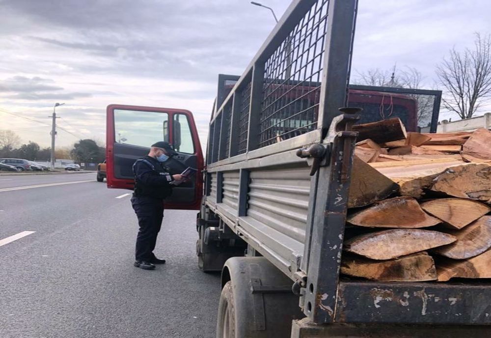 Bărbat din Borca prins transportând cherestea fără acte