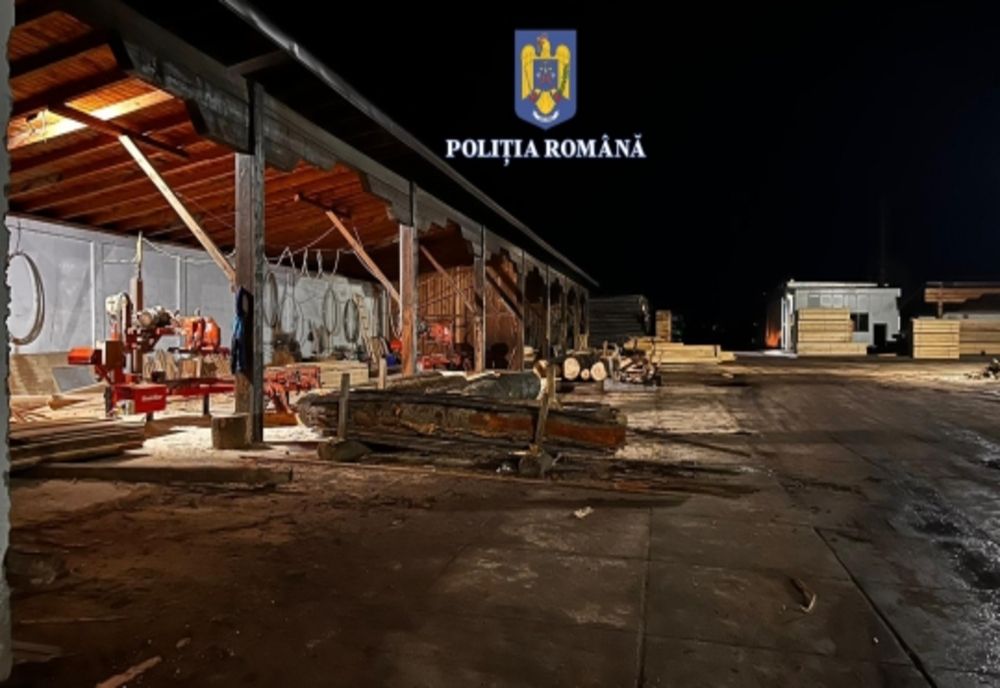 Percheziţii în mai multe judeţe din ţară, într-un dosar de evaziune fiscală, spălare de bani, delapidare şi tăiere fără drept de arbori