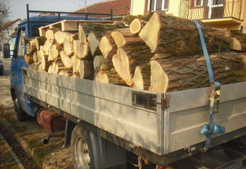 Transporta material lemnos fără documente. Șoferul, cu permisul suspendat. Mașina, fără RCA