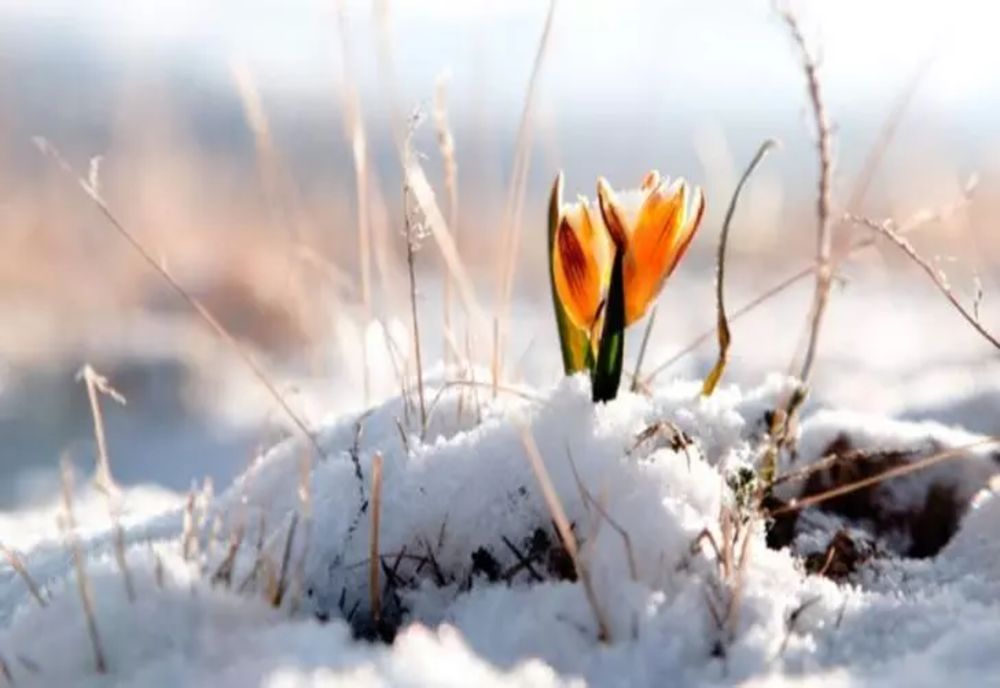 O nouă schimbare radicală a vremii. De la ger la temperaturi de primăvară 