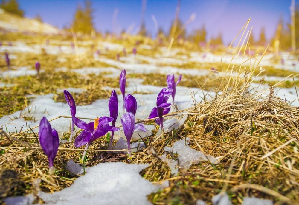 Vremea 10 martie - Cresc temperaturile în majoritatea regiunilor - Se anunță ploi și descărcări electrice - Care sunt zonele vizate