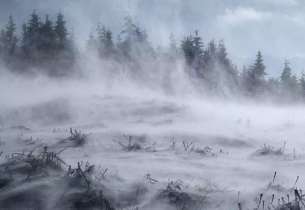 Alertă meteo de vreme rea pentru judeţele Suceava şi Neamţ: intensificări ale vântului care vor depăşi la rafală 100 km/h