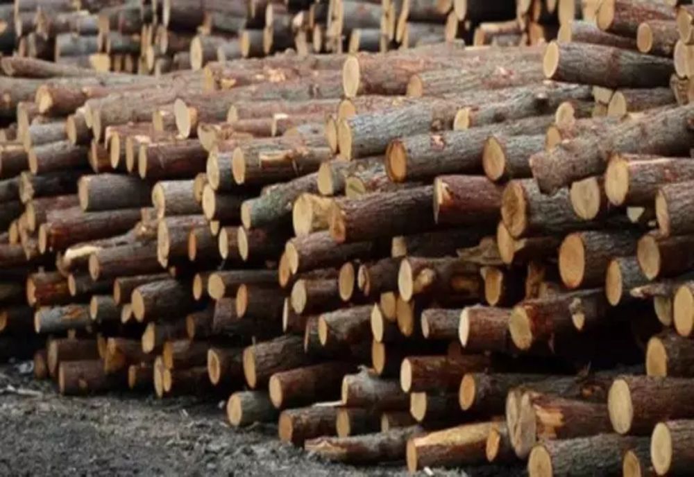Amendă de 10.000 de lei pentru un operator economic din Neamț