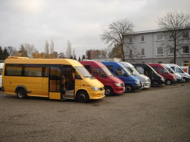 Mircea 1