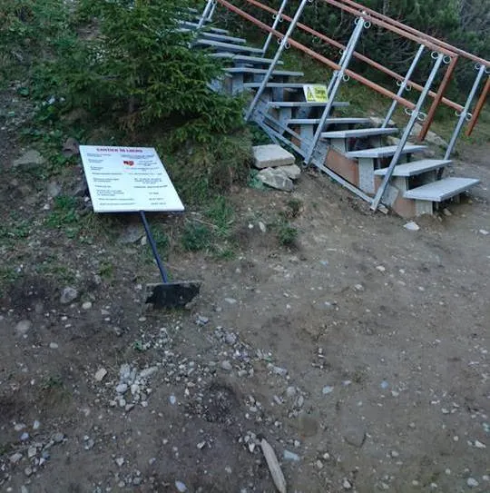 indicatoare vandalizate