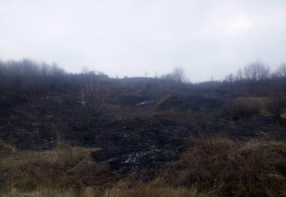 Două incendii de vegetație uscată la aceeași oră