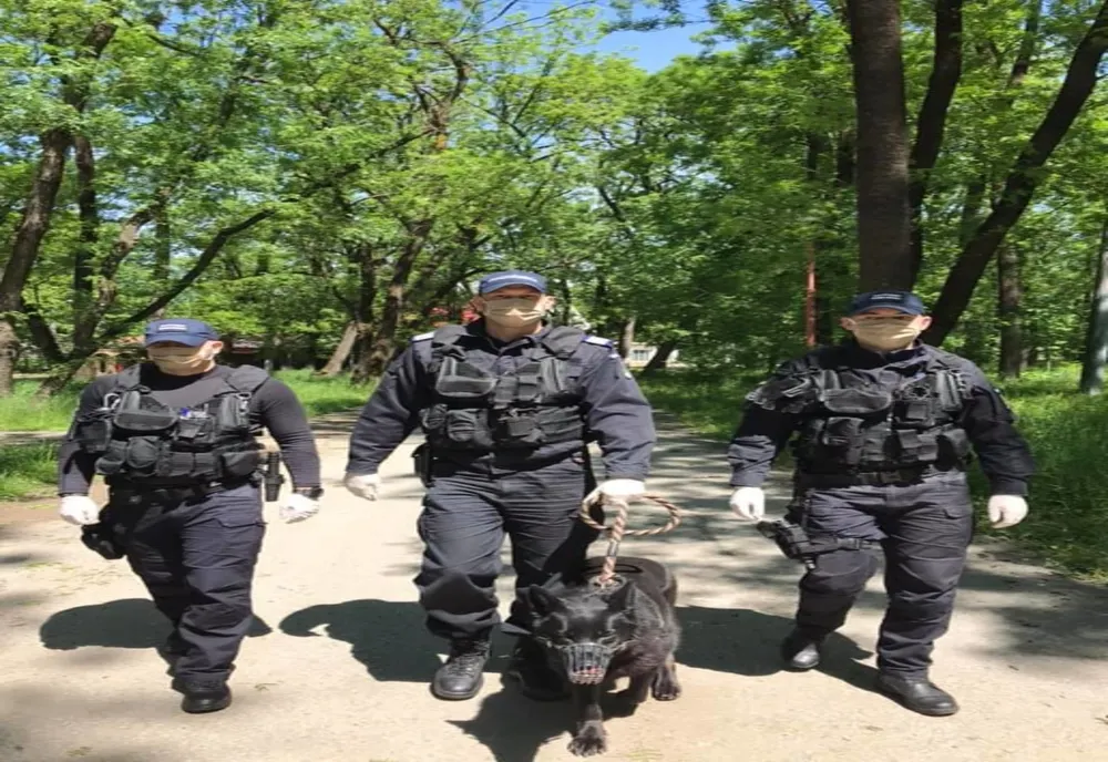 35 de sancțiuni contravenționale aplicate de jandarmii nemțeni în perioada minivacanței de Rusalii