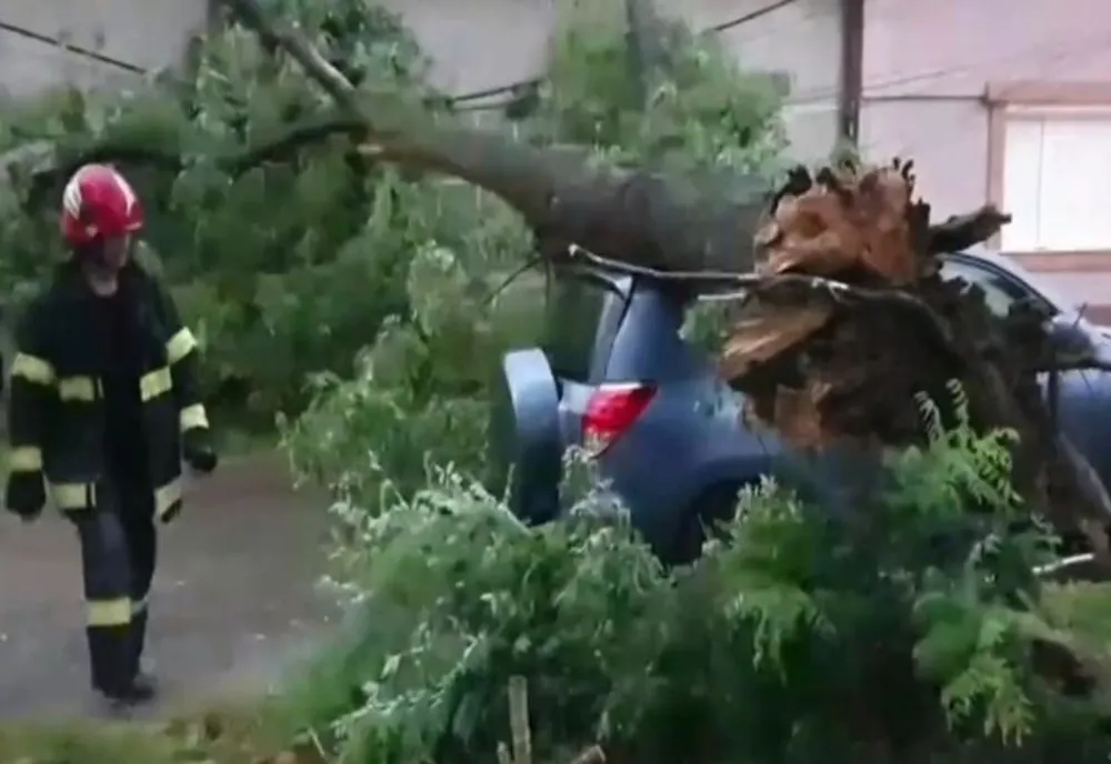 Intervenție ISU în Bicaz: un copac a căzut peste un autoturism