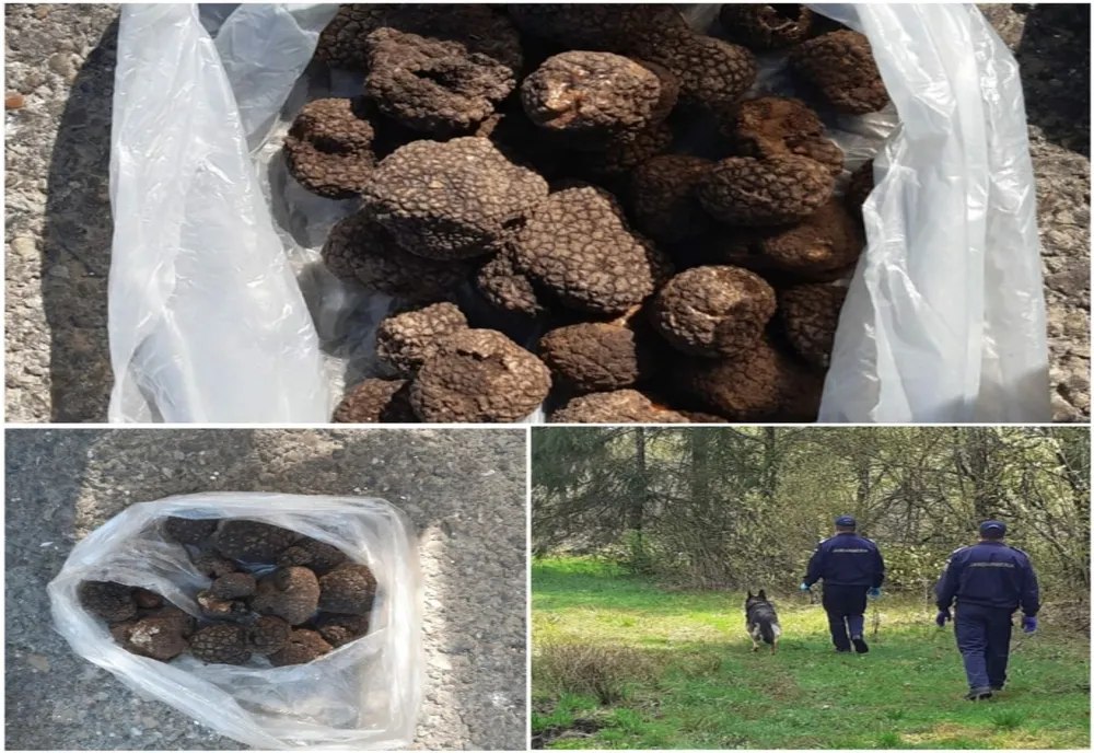 Căutători de „diamante negre” sancționați cu 4.000 de lei de jandarmii montani