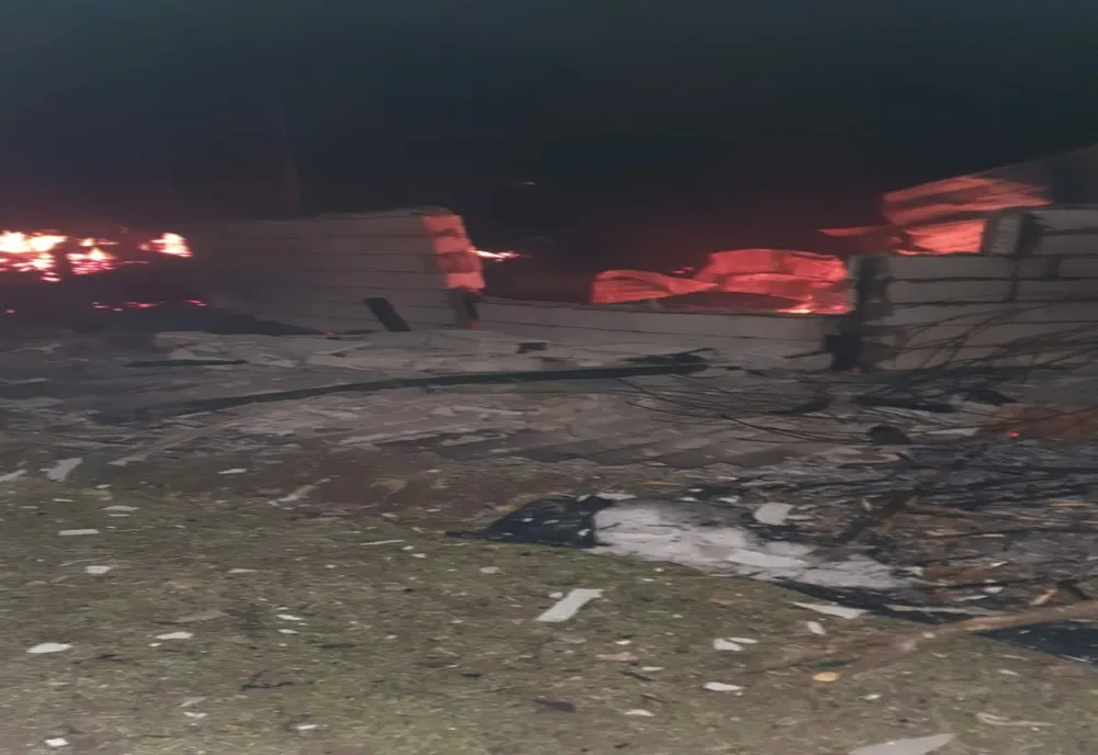 Animale moarte într-un incendiu în Borlești! Focul a fost pus intenționat (FOTO)