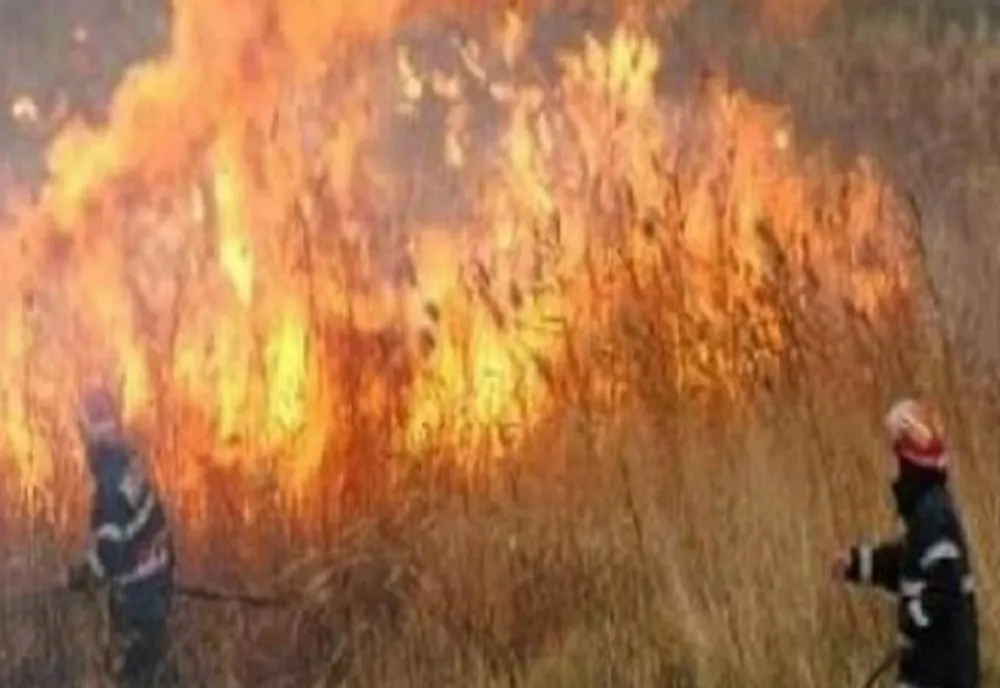 Misiune de stingere a unui incendiu produs la vegetaţia uscată în comuna Pâncești