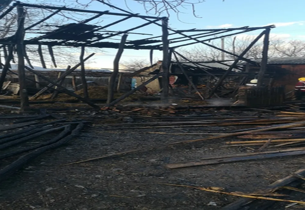 S-au jucat cu focul și au incendiat o fânărie