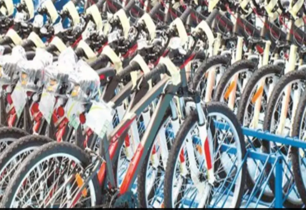 VIDEO Bicicletele Pegas, pe cale de dispariție! Cum a fost pusă pe butuci renumita marcă românească - Dezvăluiri, în exclusivitate, la „Culisele statului paralel”